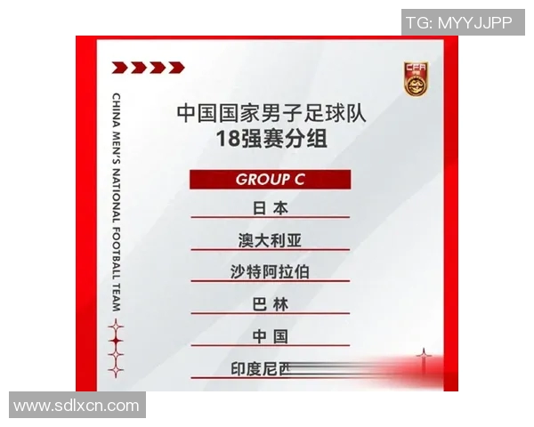 中国足球的巴西球星们：他们如何影响中国足球发展与未来潜力