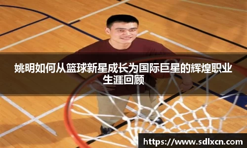 mk体育